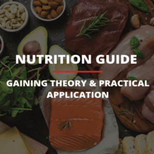 Nutrition Guide Gaining Theory Practical Applications